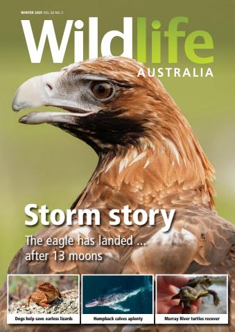 Winter 2025 issue Winter 2025