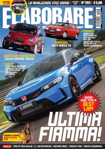 ELABORARE 293 - 2025 issue ELABORARE 293 - 2025