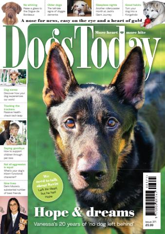 Issue 371 issue Issue 371