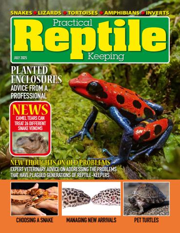 July 2025 issue July 2025