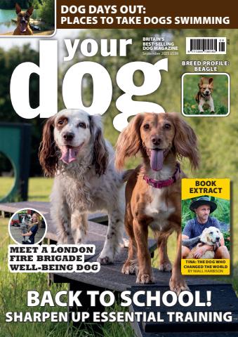 Your Dog - September 2025 issue Your Dog - September 2025