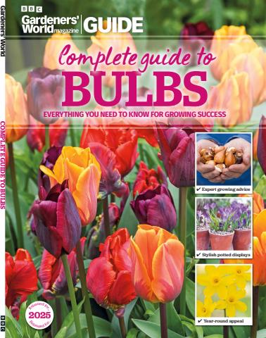 Complete Guide to Bulbs issue Complete Guide to Bulbs