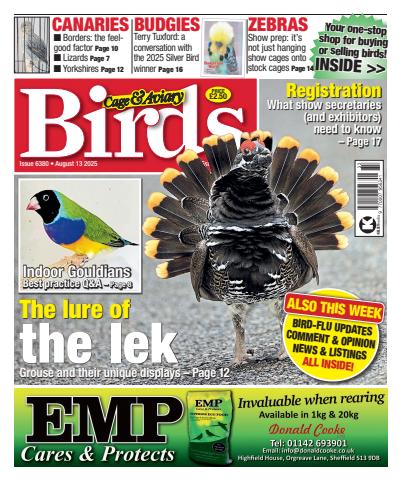 13th August 2025 issue 13th August 2025