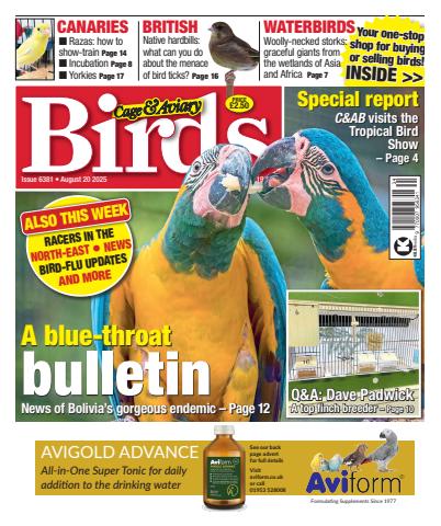 20th August 2025 issue 20th August 2025