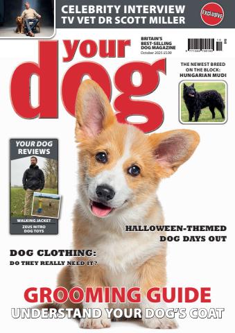 October 2025 issue October 2025