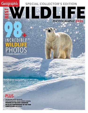 Wildlife SIP 2025 issue Wildlife SIP 2025