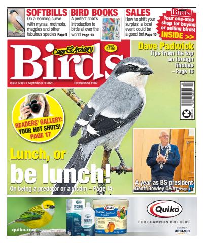 3rd September 2025 issue 3rd September 2025