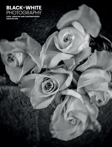 Issue 306 issue Issue 306