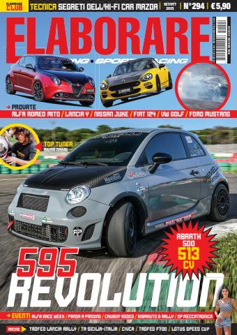 ELABORARE 294 - 2025 issue ELABORARE 294 - 2025