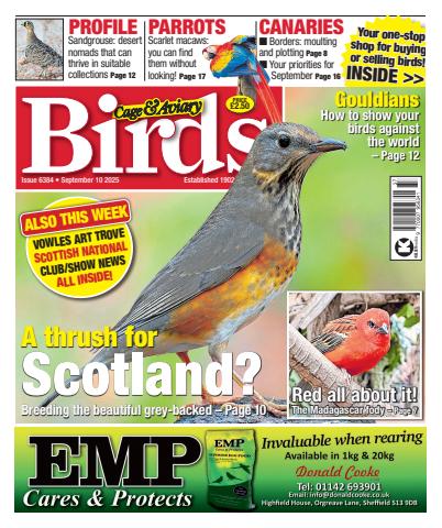 10th September 2025 issue 10th September 2025