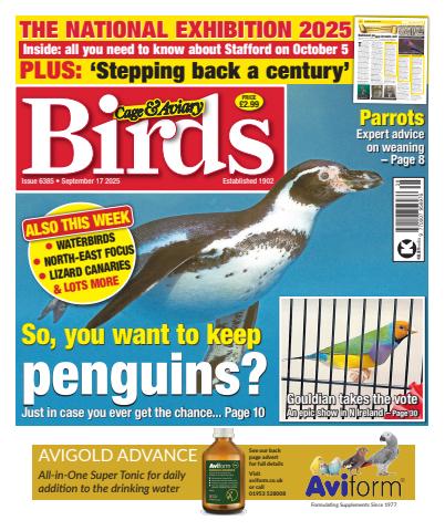 17th September 2025 issue 17th September 2025