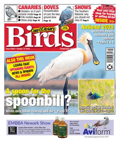 15th October 2025 issue 15th October 2025