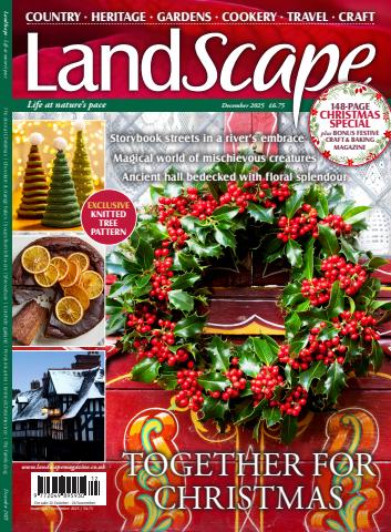 LandScape issue Dec-25
