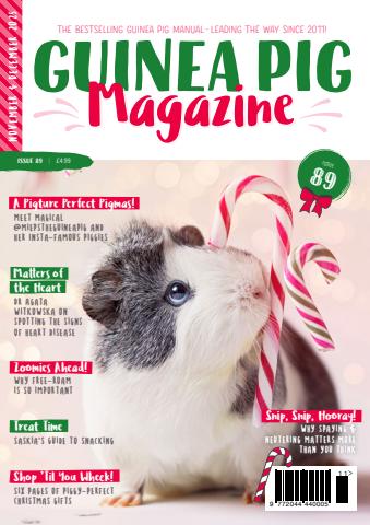 Guinea Pig Magazine issue Issue 89 (Nov/Dec)