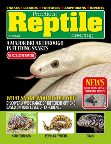 Practical Reptile Keeping issue October 2025