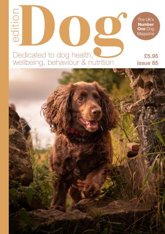 Edition Dog issue Edition Dog 85