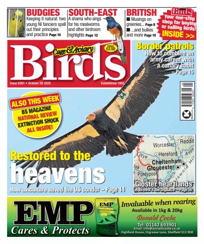 29th October 2025 issue 29th October 2025