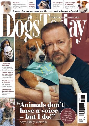 Dogs Today Magazine issue Issue 374