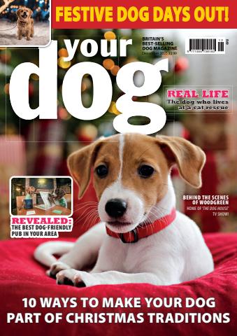 Your Dog issue December 2025