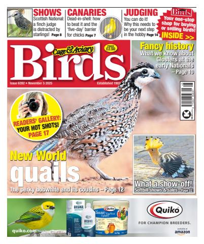 5th November 2025 issue 5th November 2025