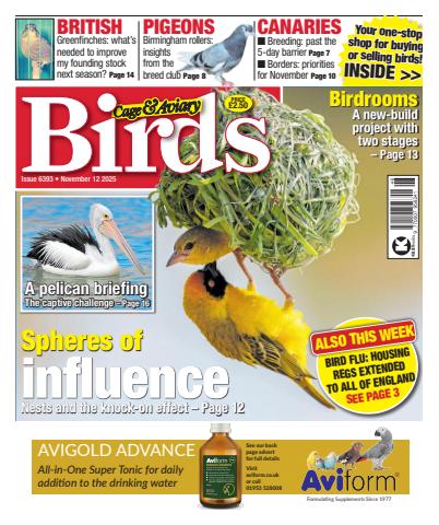 Cage & Aviary Birds issue 12th November 2025