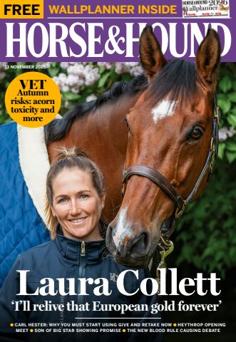 Horse & Hound issue 13 Nov 2025