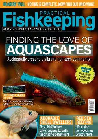 Practical Fishkeeping issue December 2025