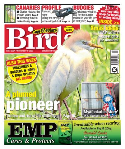 Cage & Aviary Birds issue 19th November 2025