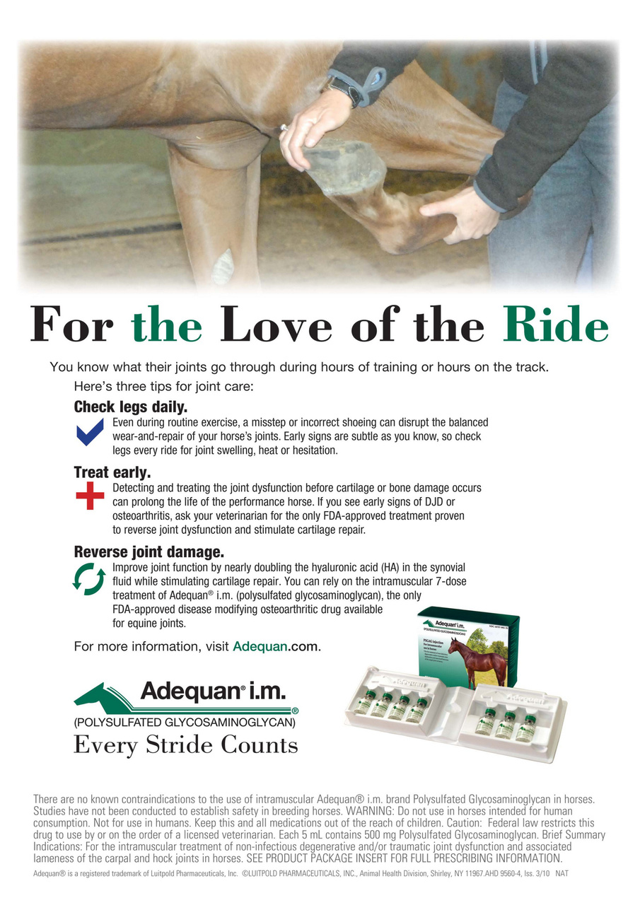 North American Trainer Magazine - horse racing Preview Pages