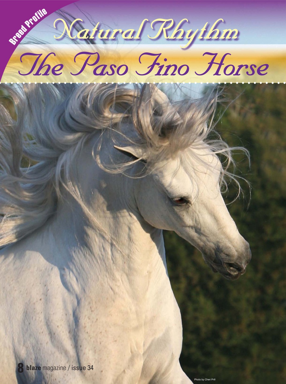 Blaze Magazine For Horse Crazy Kids Preview Pages