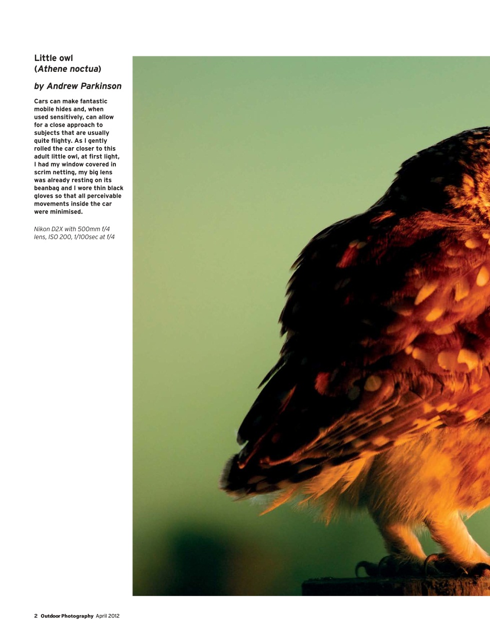 Outdoor Photography Preview Pages