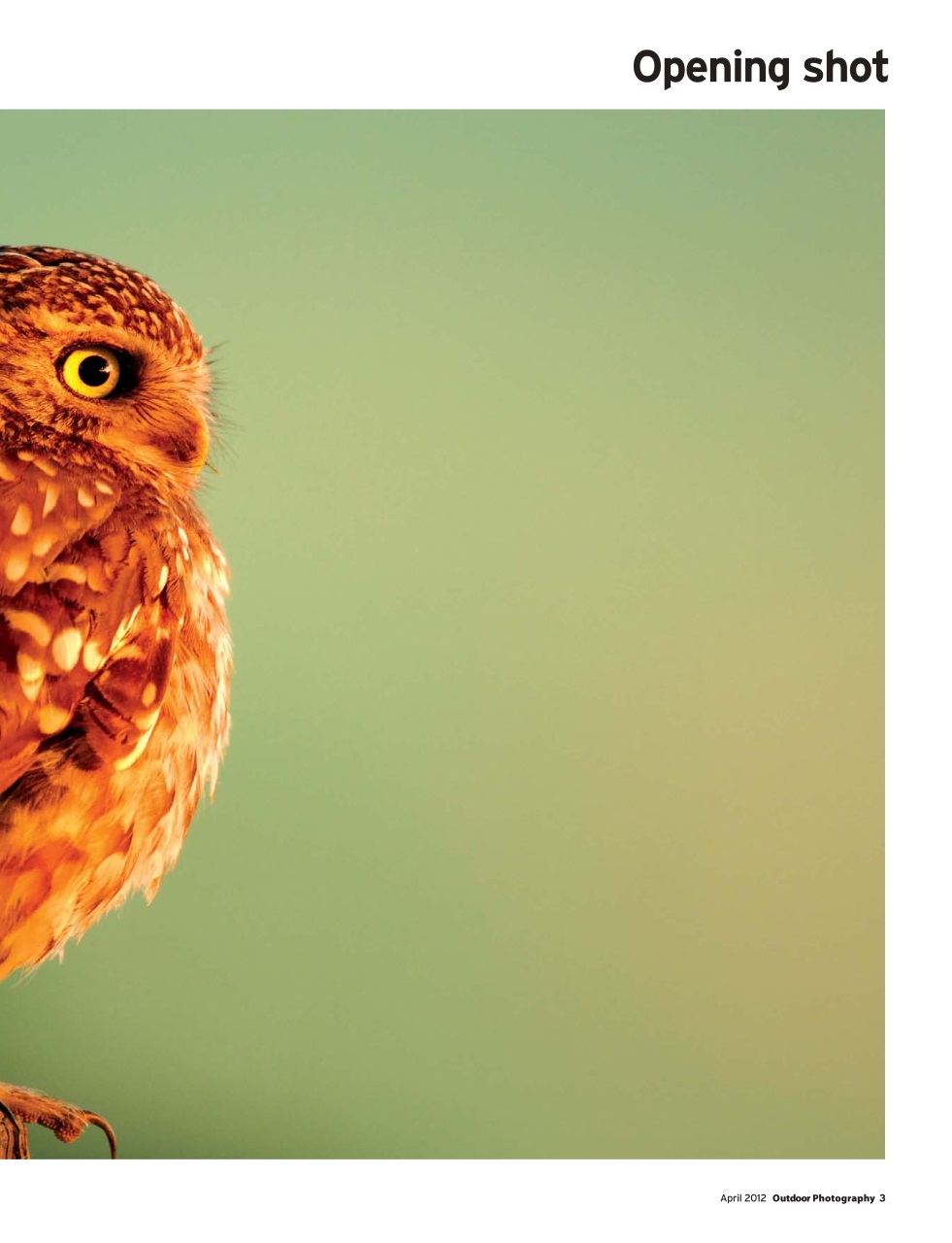 Outdoor Photography Preview Pages