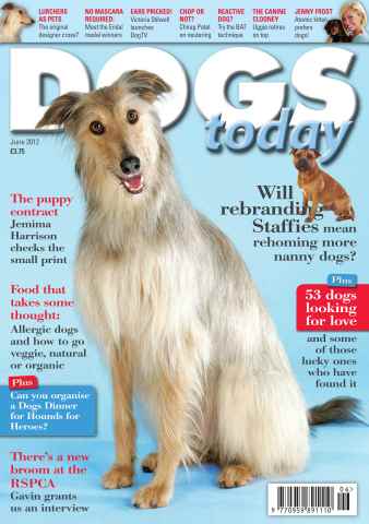 Dogs Today Magazine issue June 2012