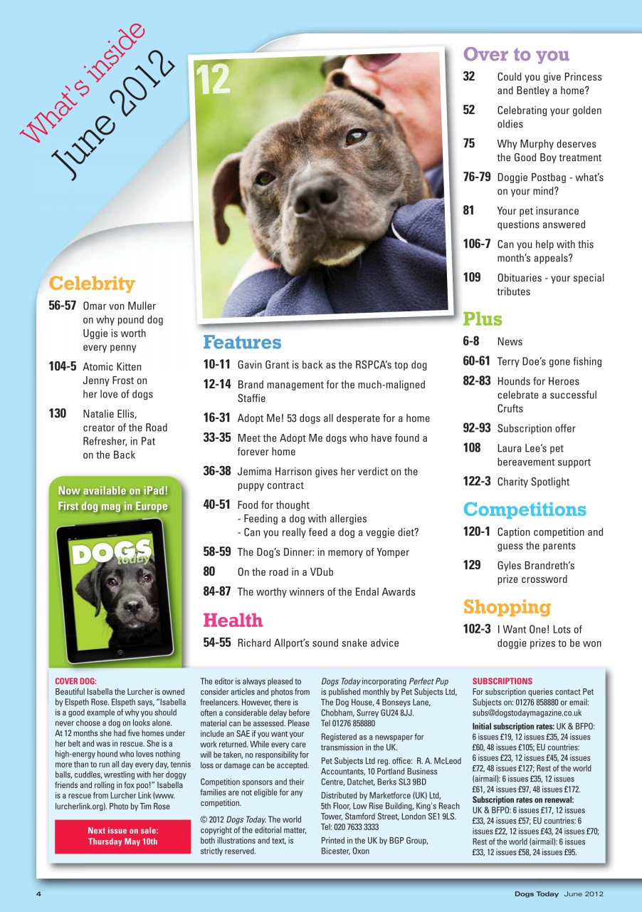 Dogs Today Magazine Preview Pages