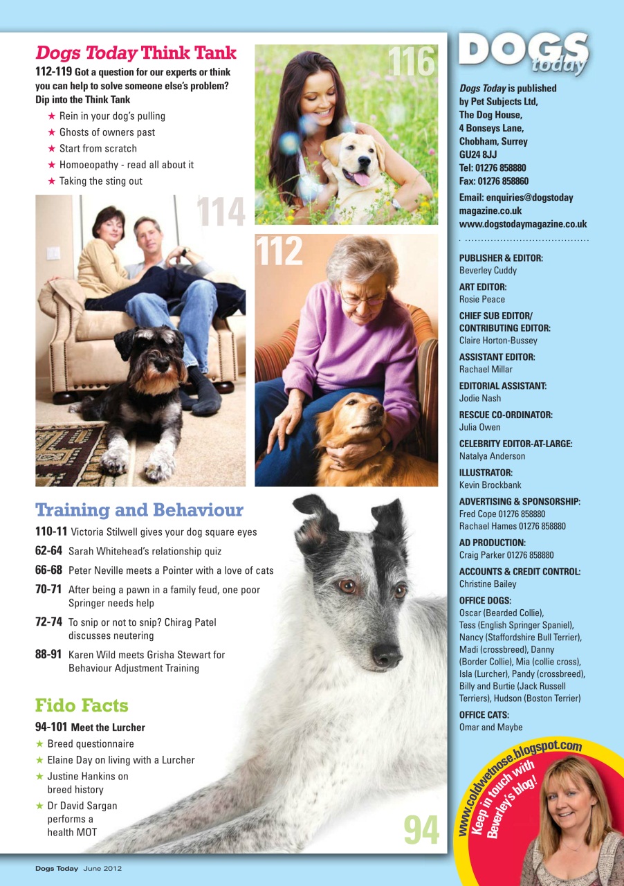 Dogs Today Magazine Preview Pages