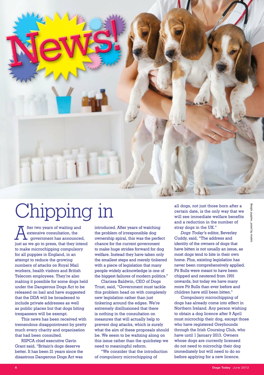 Dogs Today Magazine Preview Pages