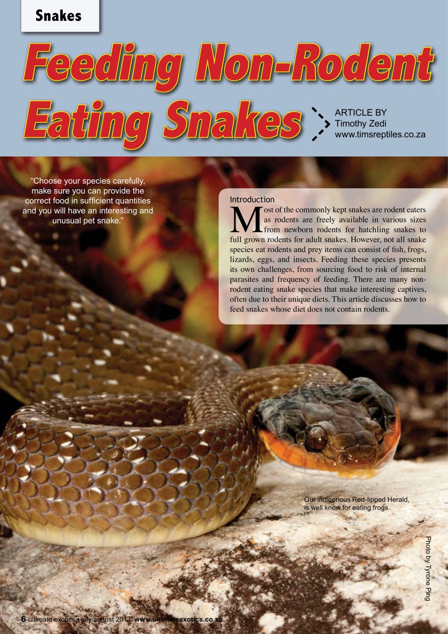 Ultimate Exotics Preview Pages