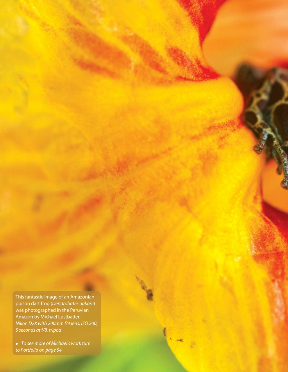 Outdoor Photography Preview Pages