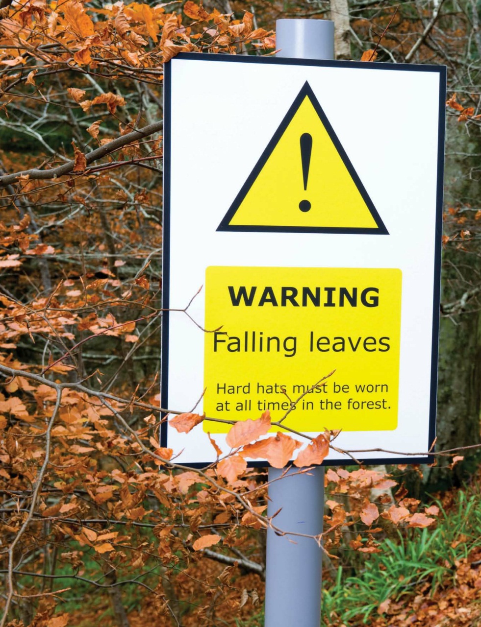 Outdoor Photography Preview Pages