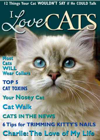 I Love Cats issue Special 16 Page Sample Issue