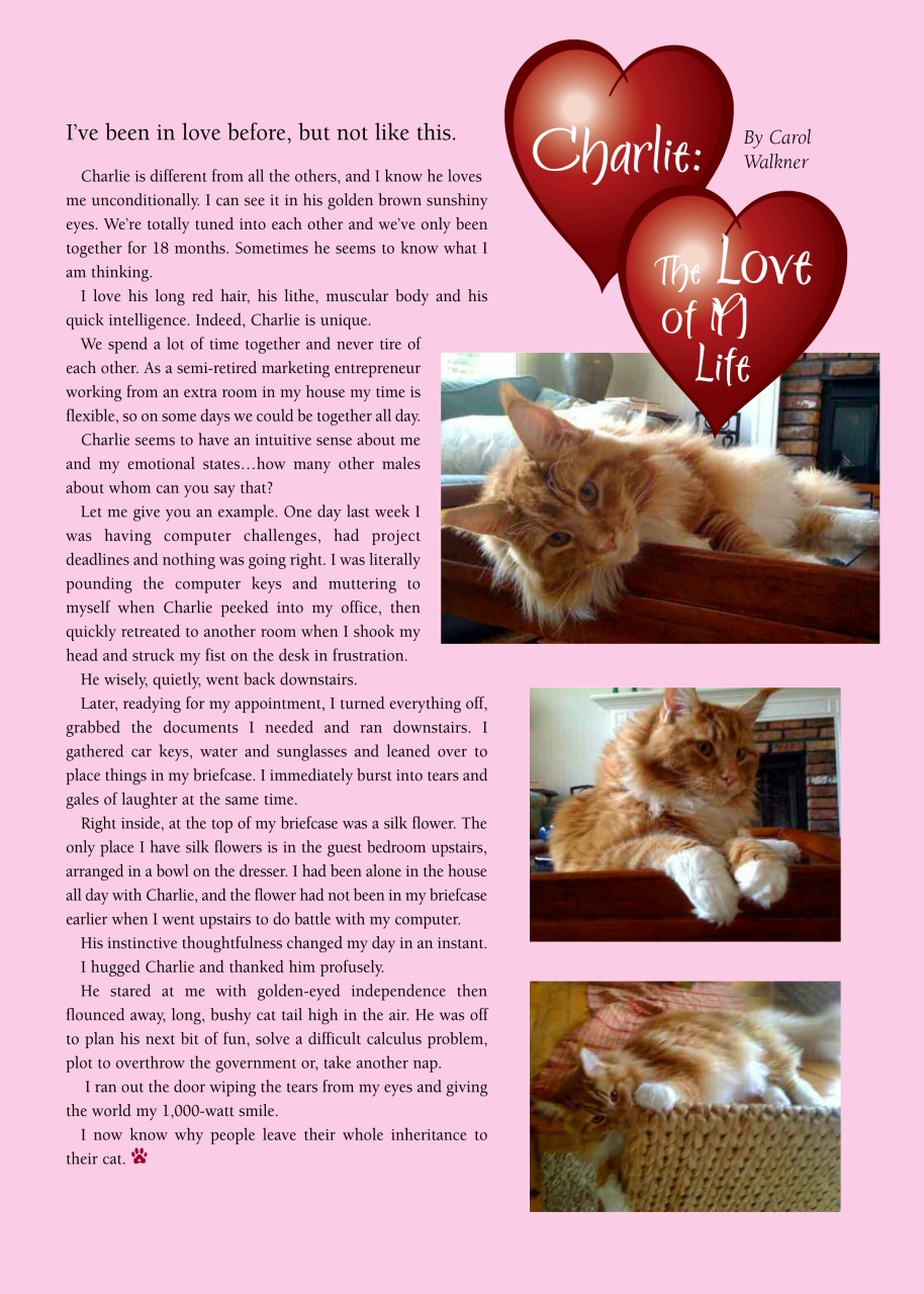 I Love Cats Preview Pages