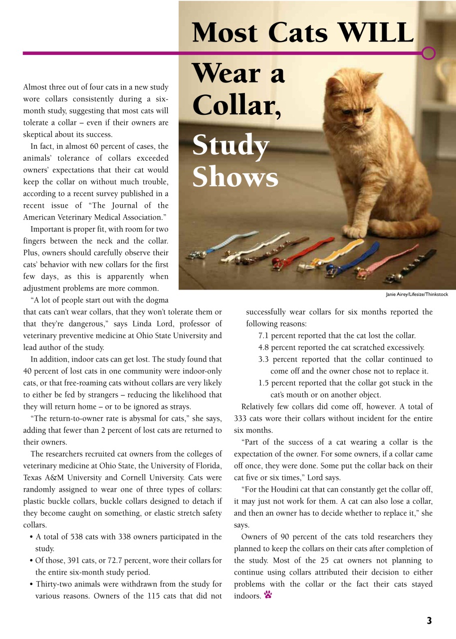 I Love Cats Preview Pages