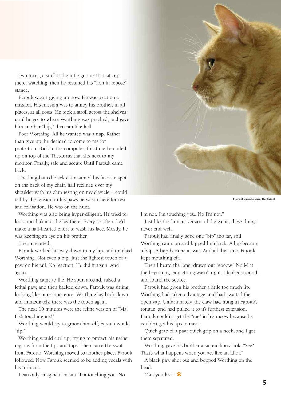 I Love Cats Preview Pages