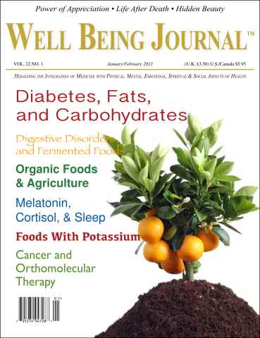 Well Being Journal issue January-February 2013