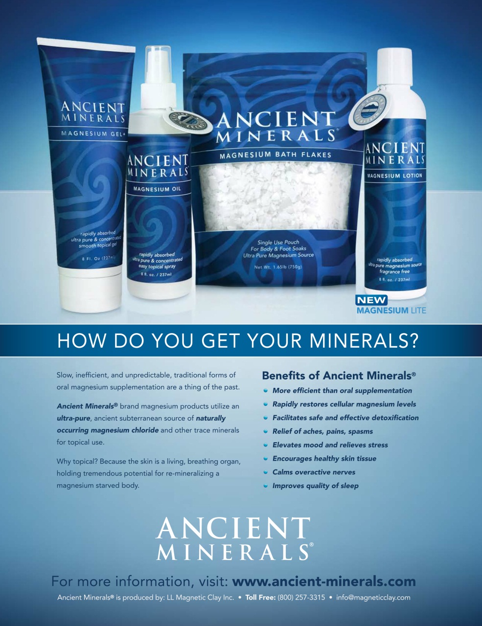 Well Being Journal Preview Pages