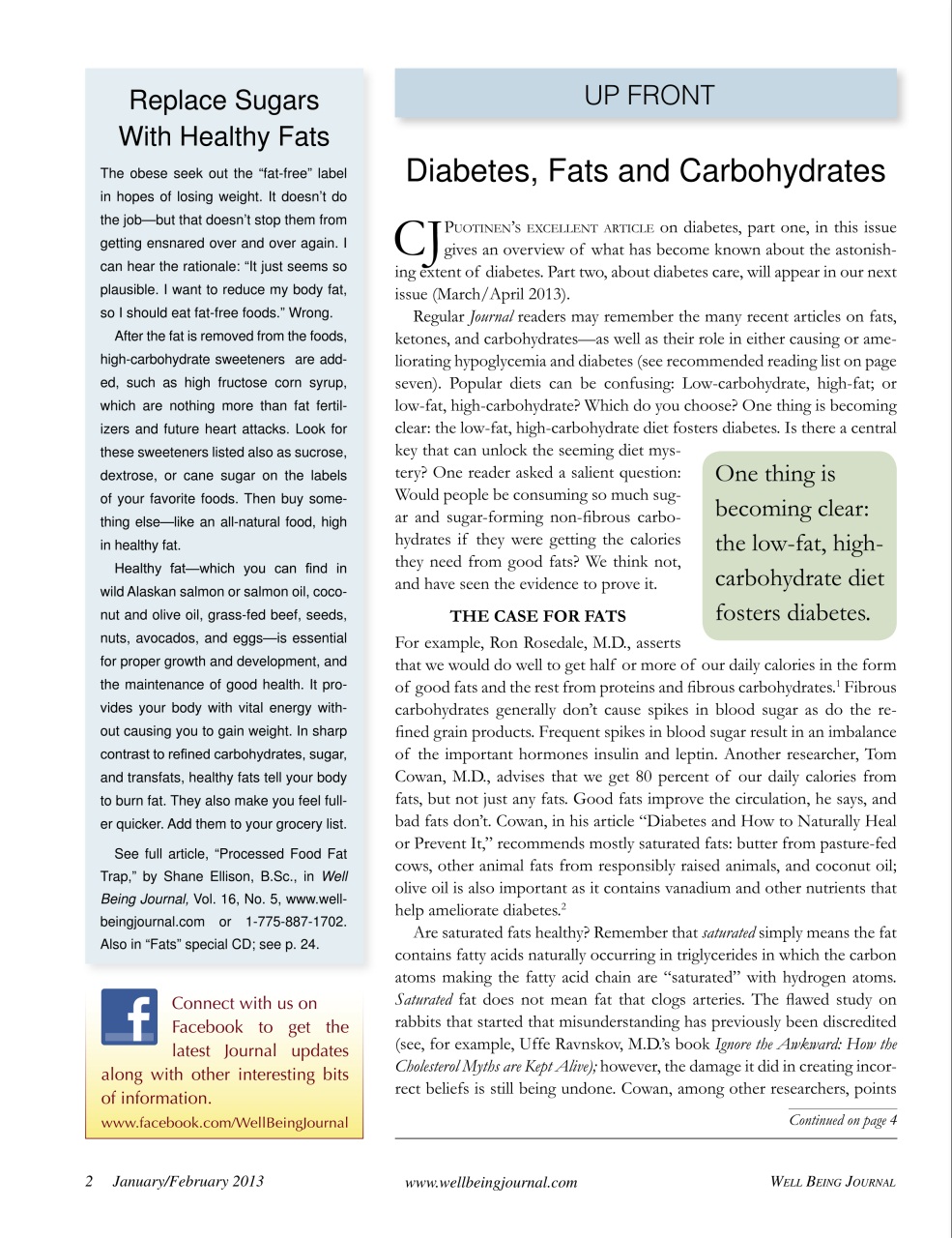 Well Being Journal Preview Pages