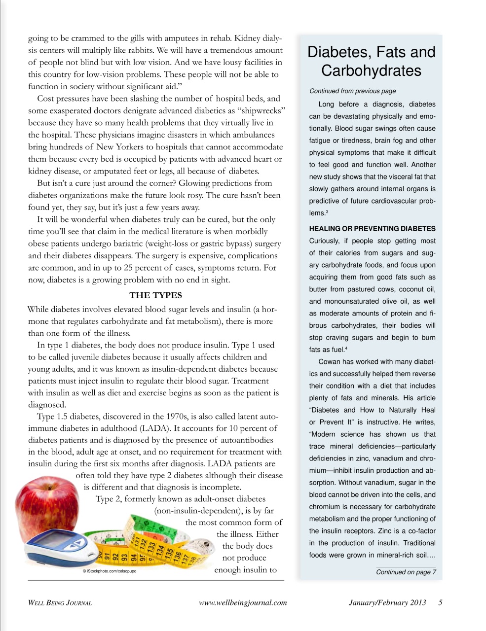 Well Being Journal Preview Pages