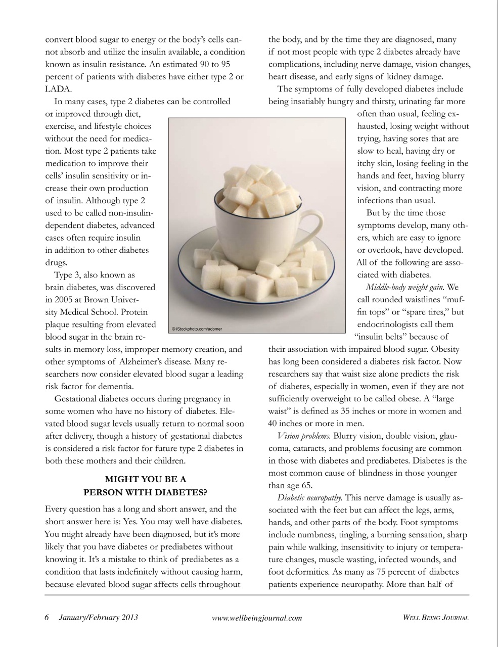 Well Being Journal Preview Pages