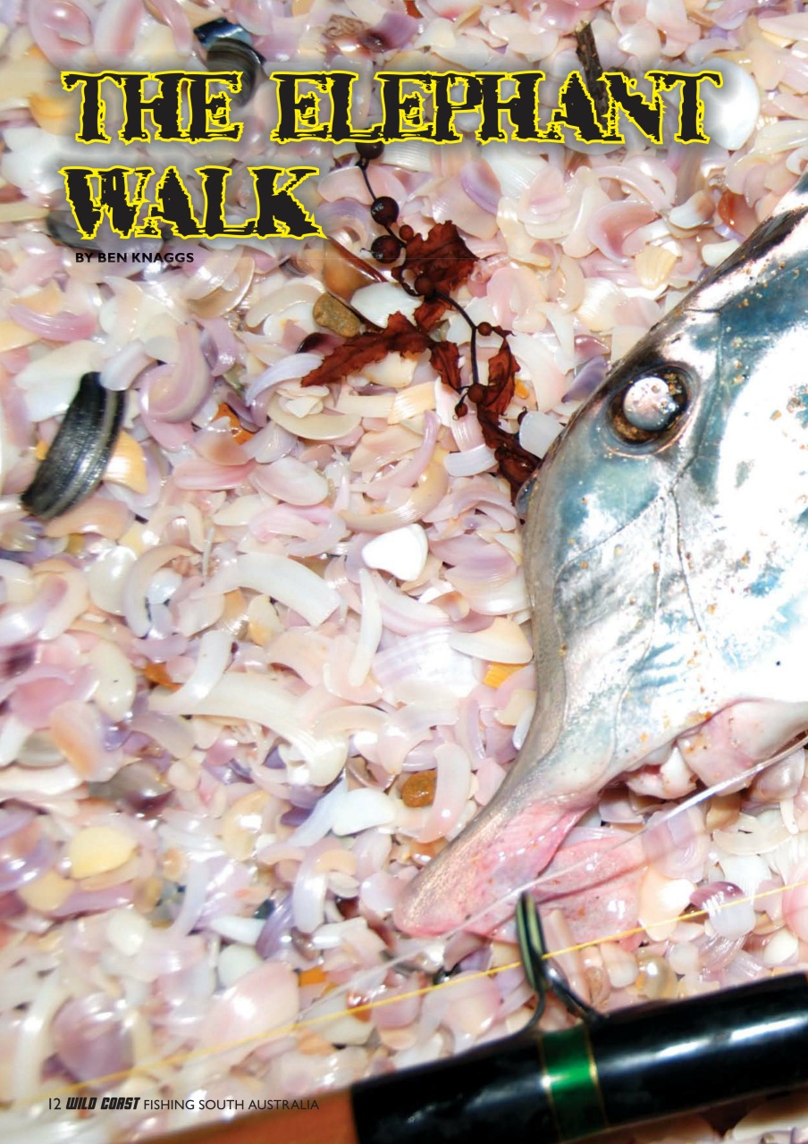 Fishing SA Preview Pages