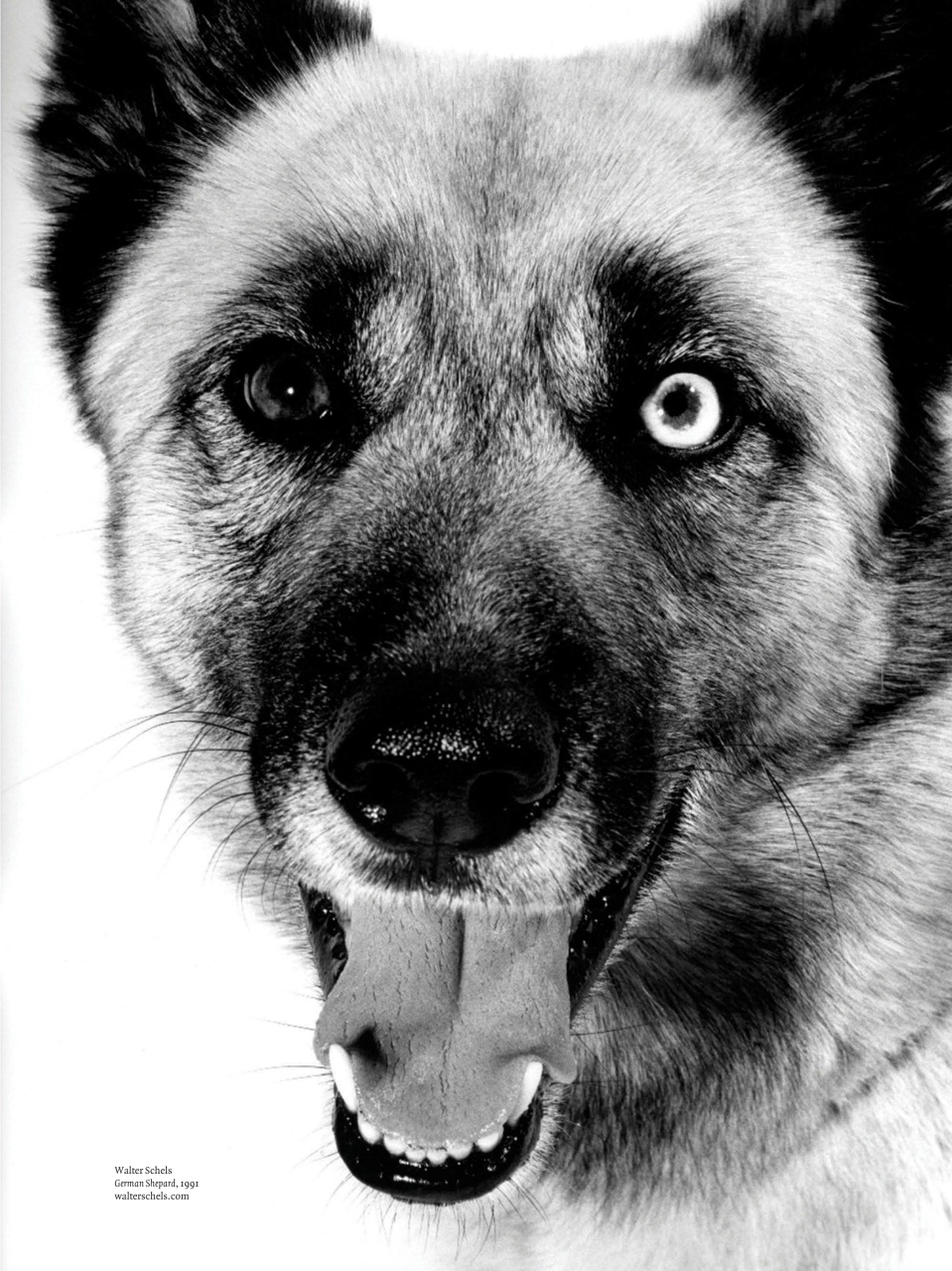 Adbusters Preview Pages